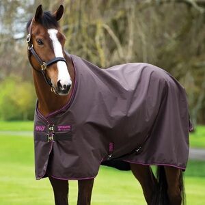 Amigo Hero 50g Light Weight Turnout Rug Horse Blanket size 81 Equestrian